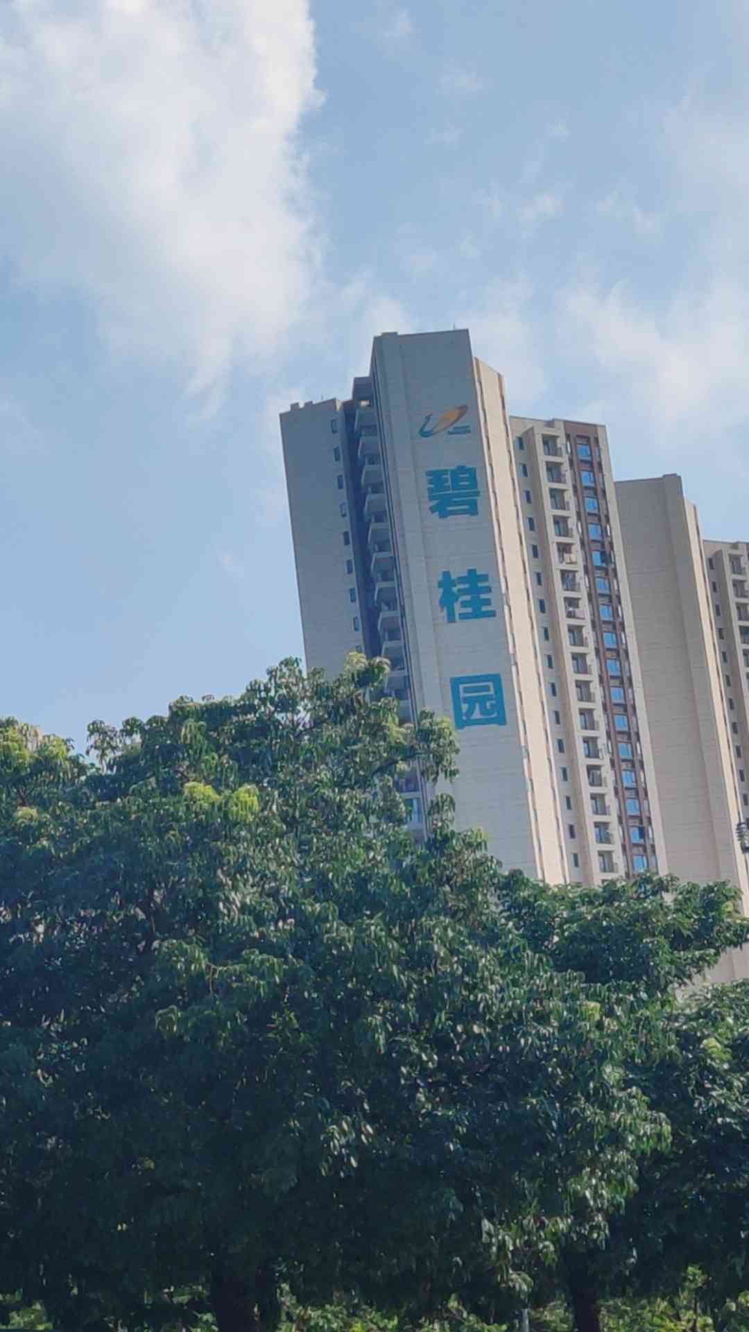 职业技能1