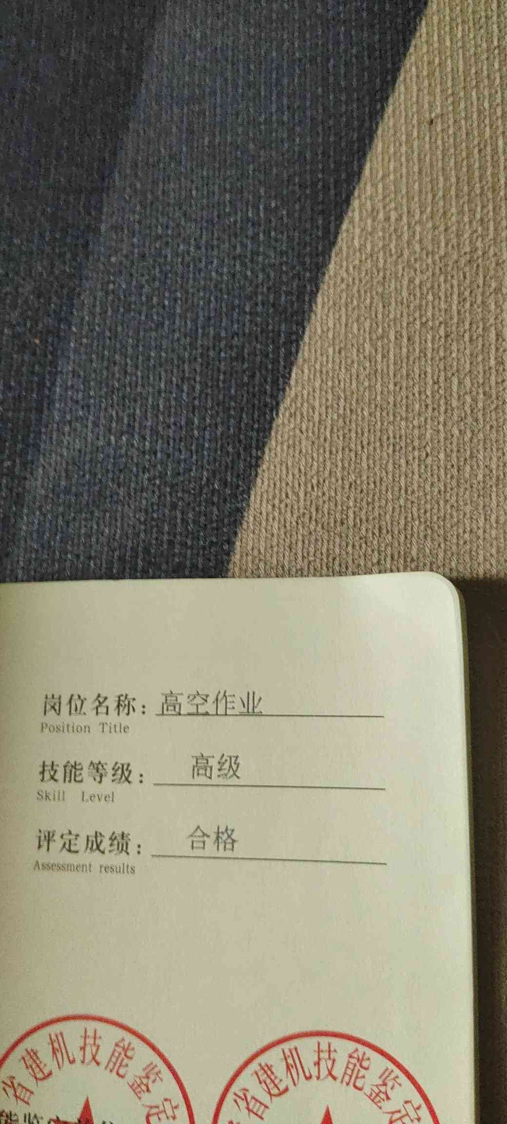 职业技能2