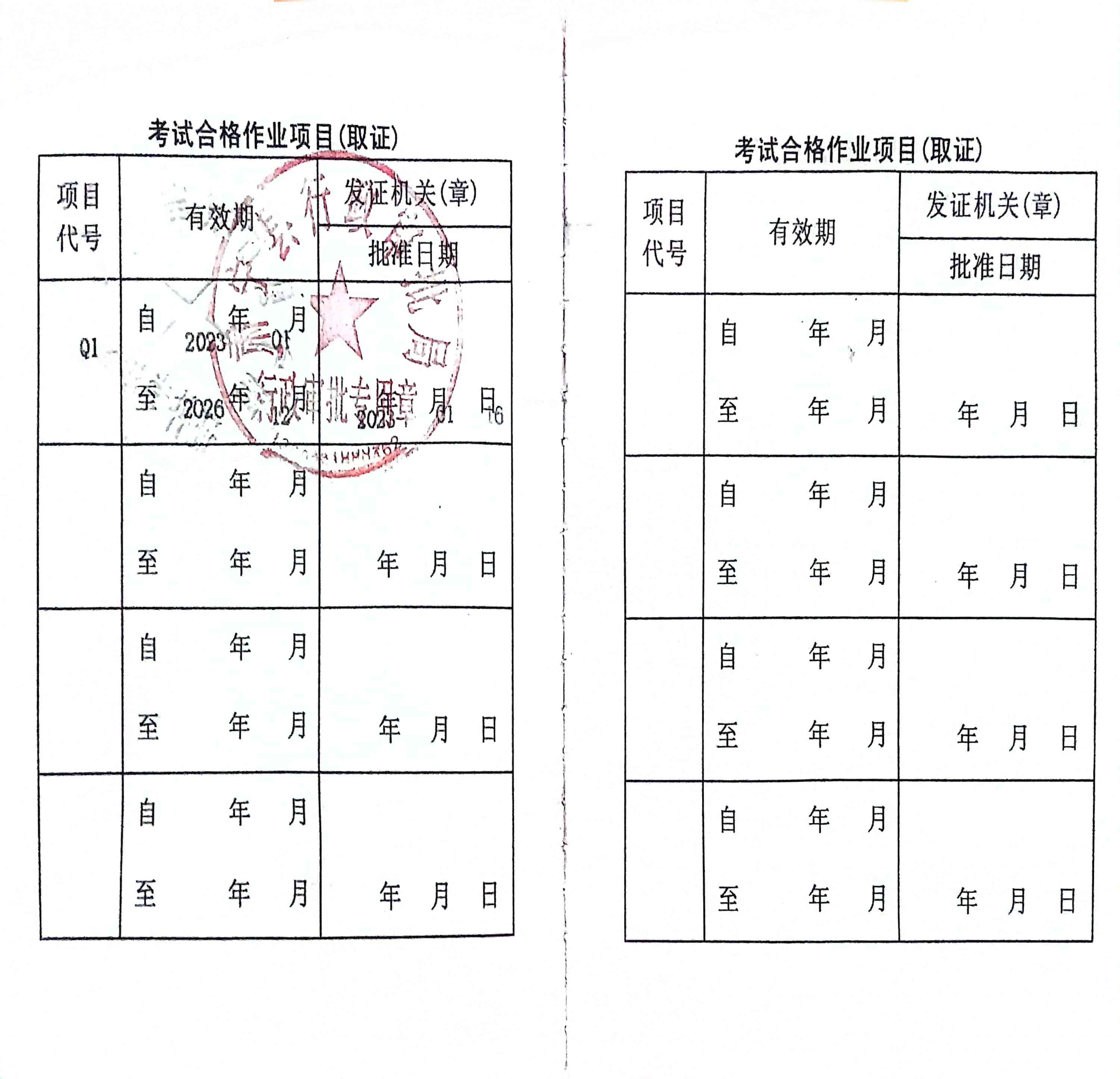 职业技能1