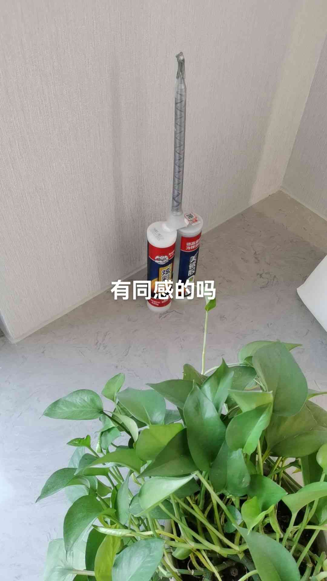 项目经验2