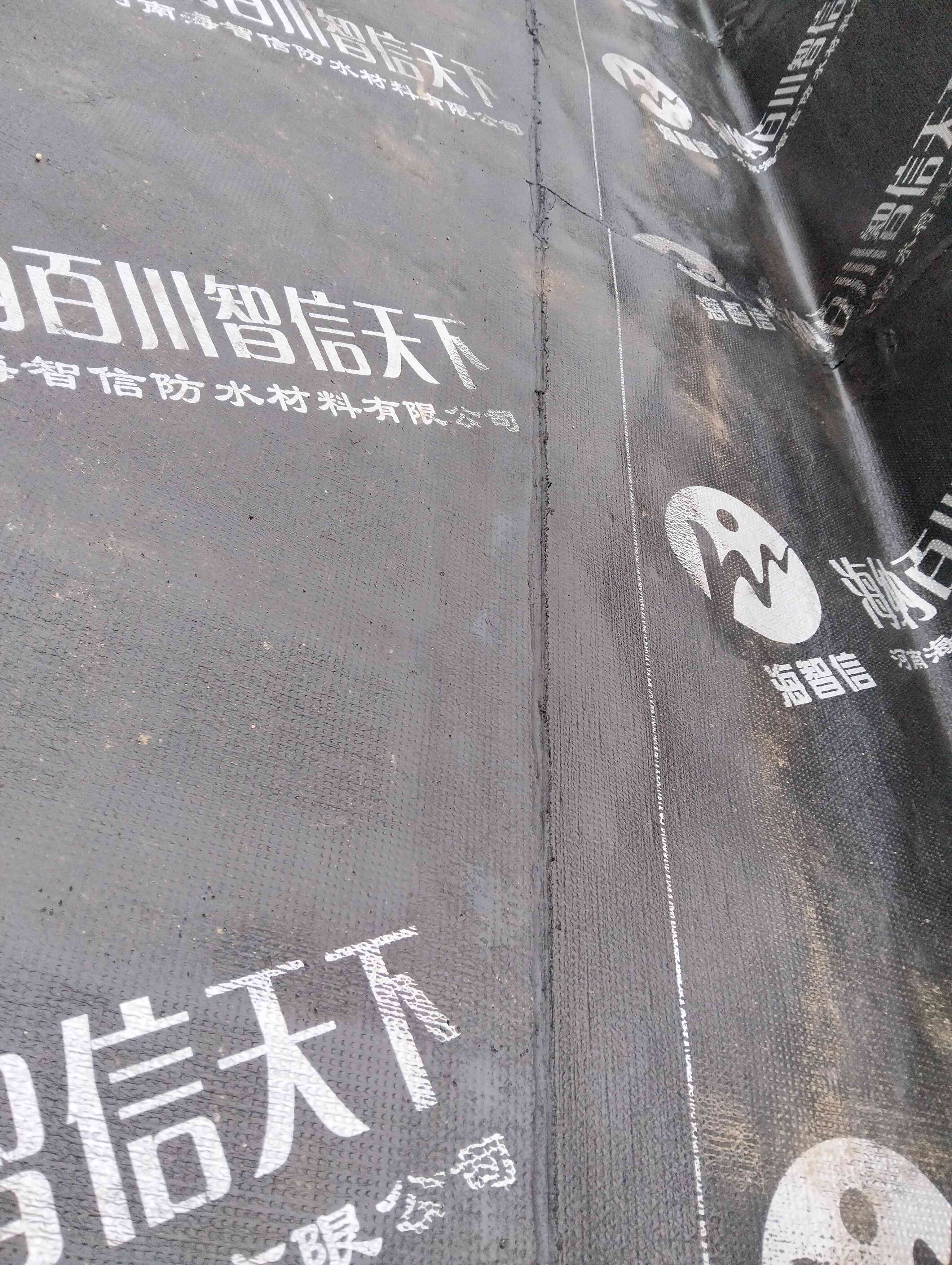 项目经验2